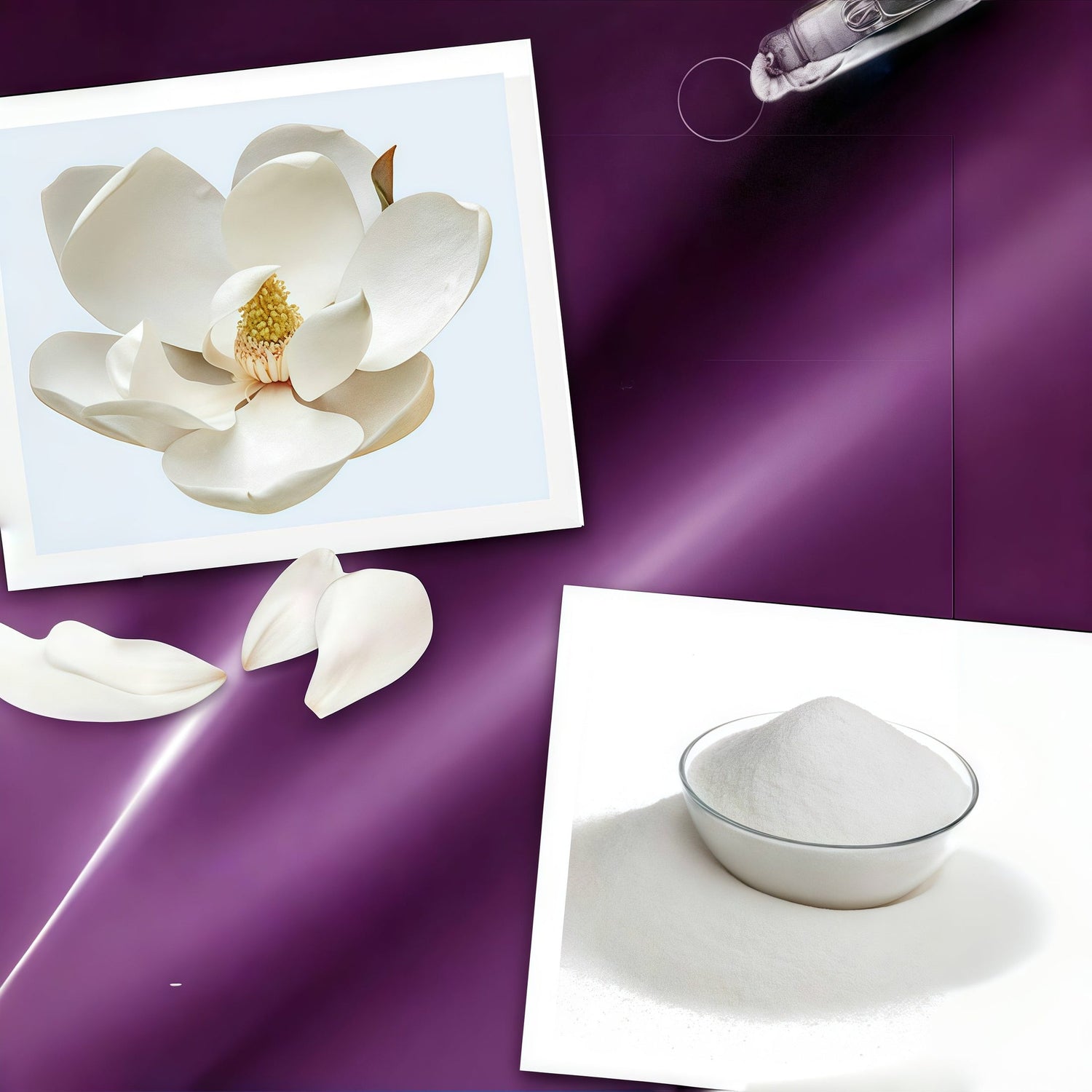 Core patented ingredients: Magnolia sieboldii extract (Patent ZL200780053172.3) + French new oligosaccharide (Patent FR2842201B1)