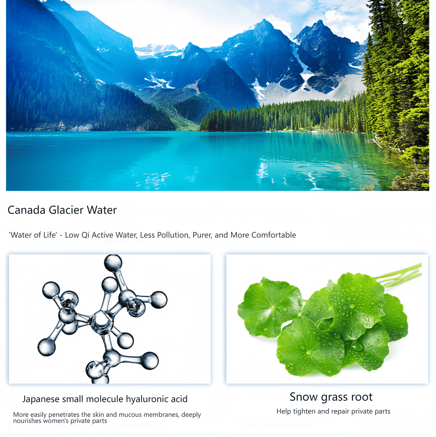 Glacial Water core ingredients: Canadian glacier water, sea fennel callus culture filtrate, Fucus vesiculosus extract