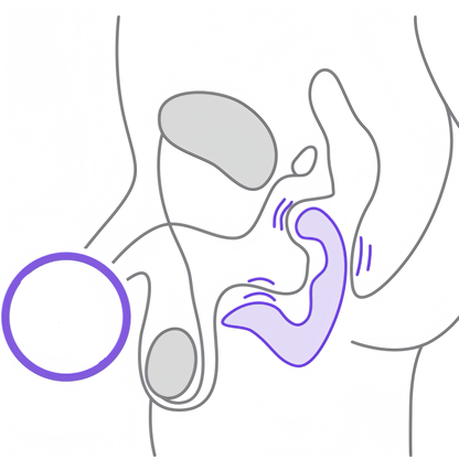 Scientific massage promotes blood circulation in the prostate, and long-term use can help improve men's physiological health.