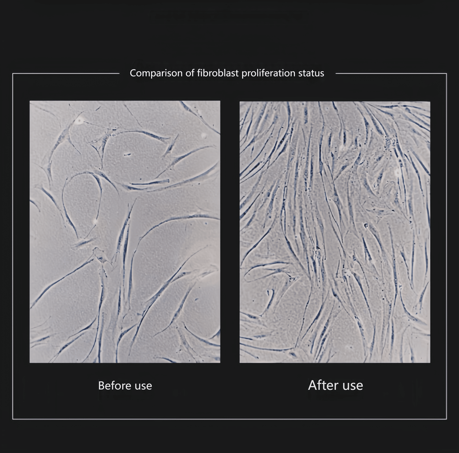 Designed for daily care, with a 28-day cycle designed to scientifically regulate physiological function.