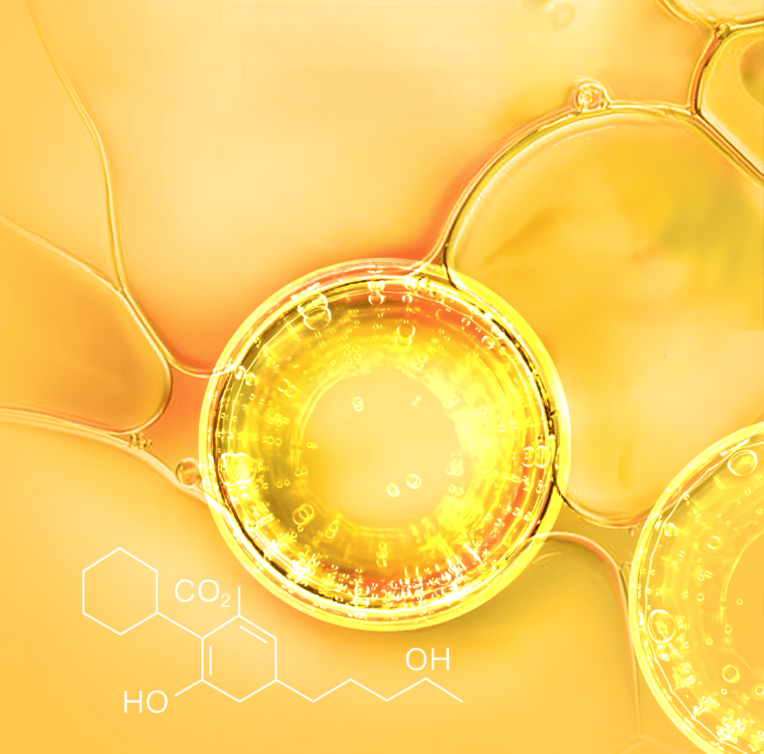 Japanese patented cell proliferation technology (BR analogo) promotes fibroblast proliferation and enhances physiological function at the cellular level.