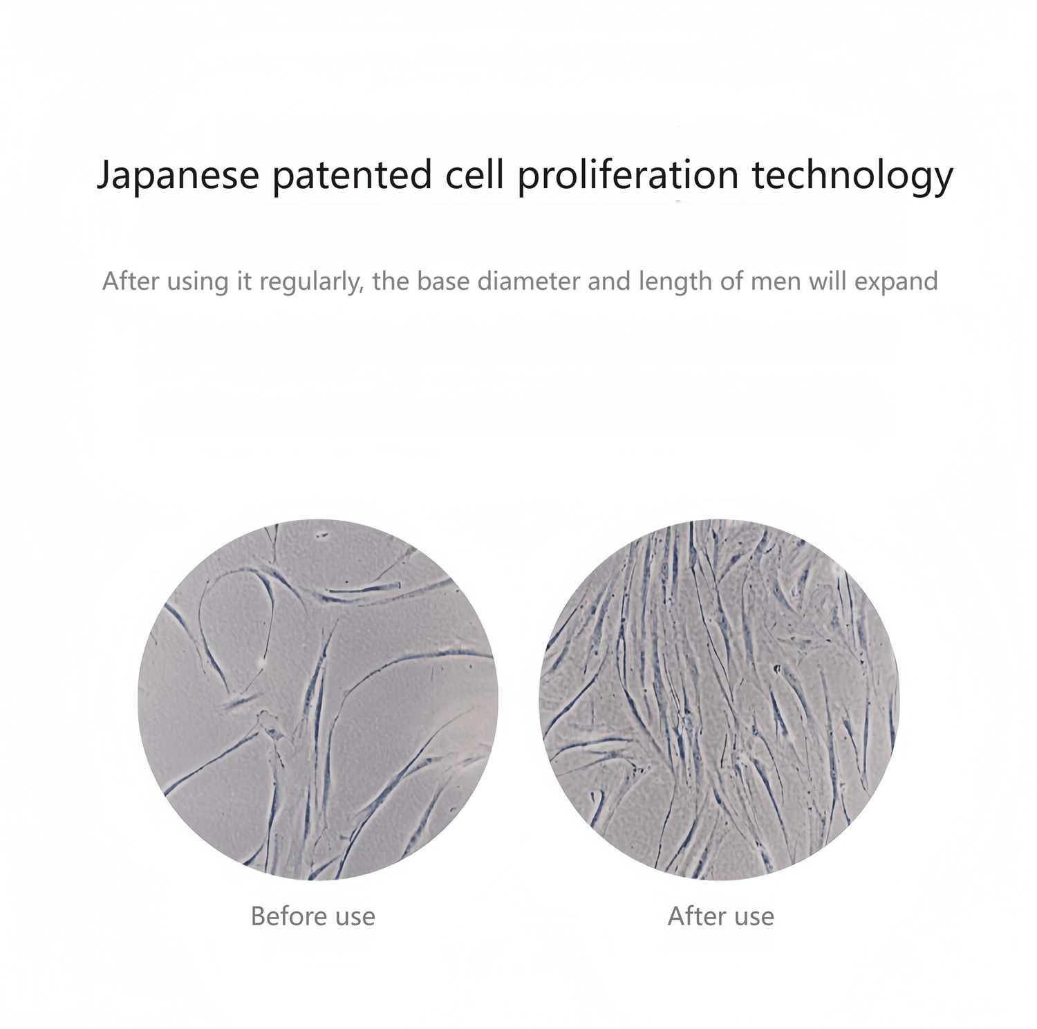 Japanese patented cell proliferation technology (Patent No. 3966922) accelerates cell reproduction and promotes continued development.