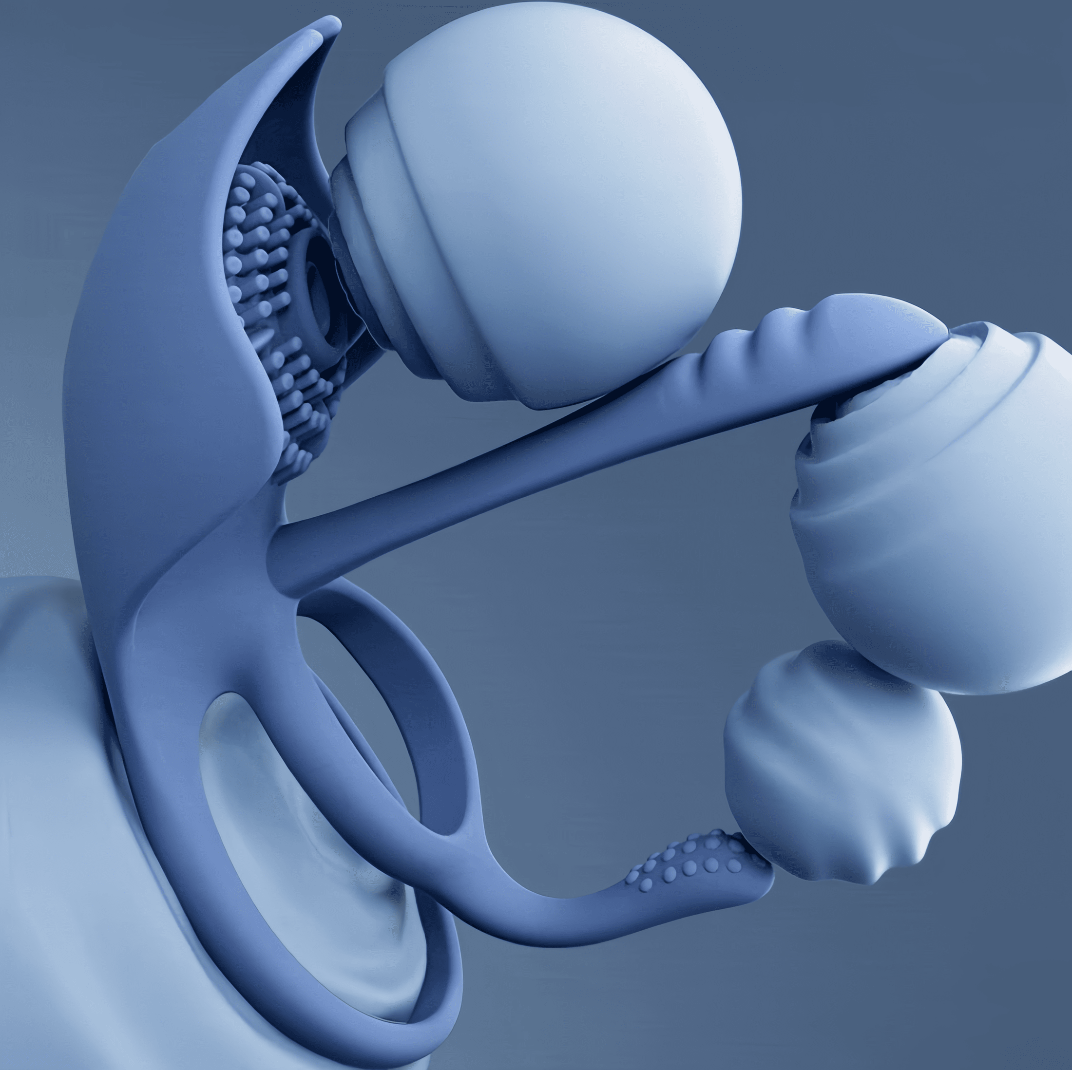 Close-up of the extended probe design: The ridged friction pattern precisely stimulates the G-spot, while the bottom vibration pocket activates the erogenous zones of the vulva.