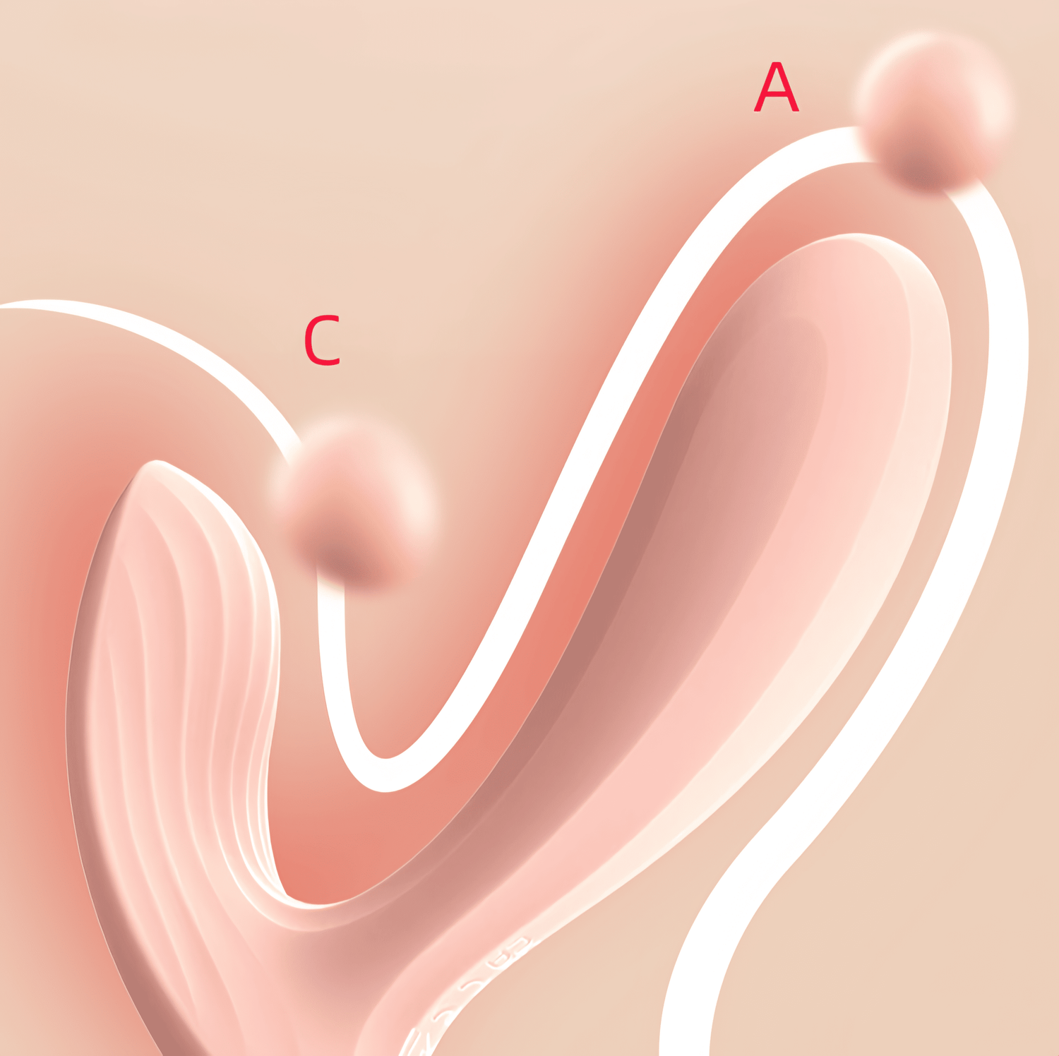 External multi-point vibration demonstration, simultaneously activating the C-spot, achieving internal and external resonance and simultaneous stimulation, achieving "internal and external stimulation
