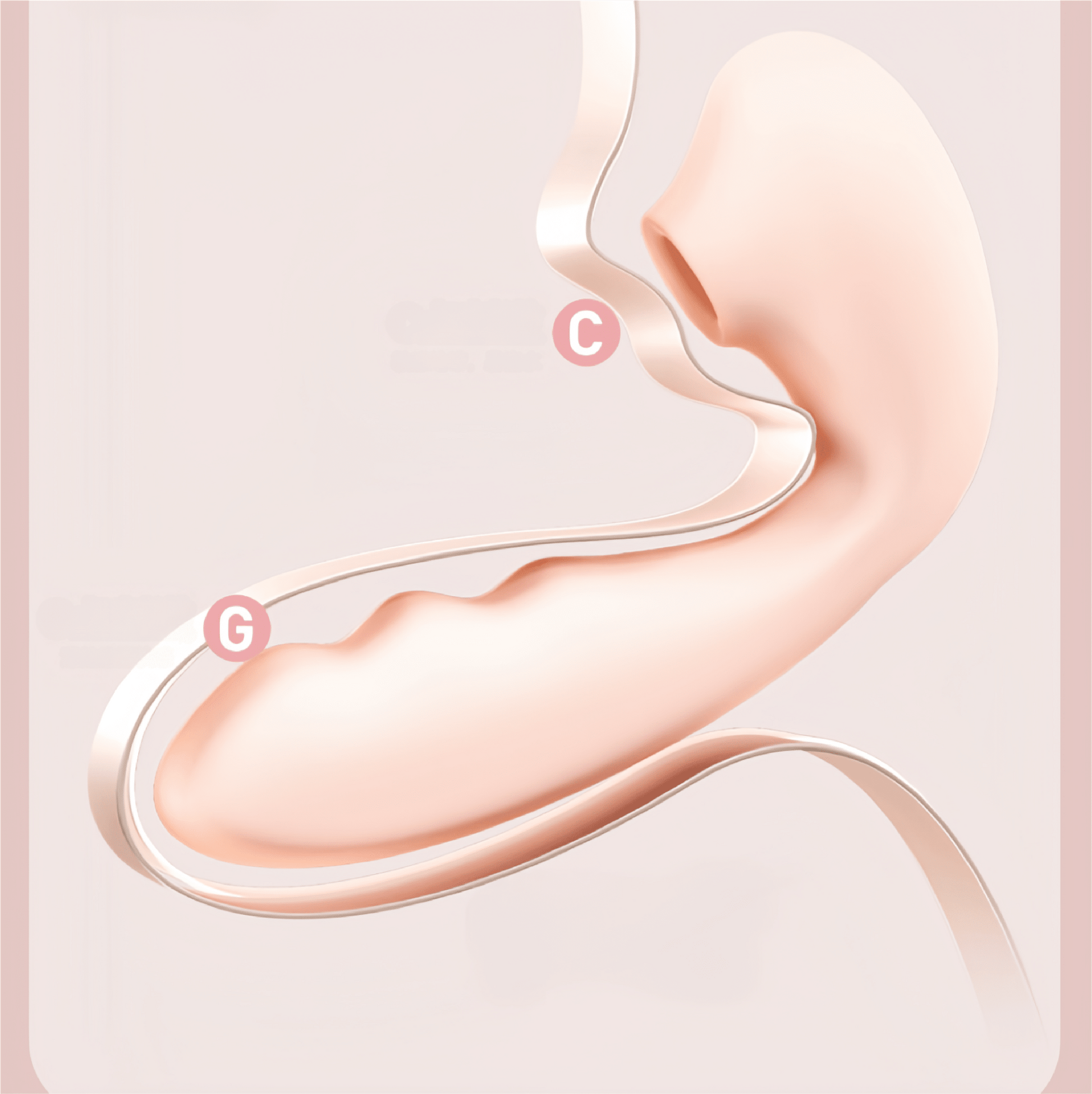 Demonstrates the large-caliber suction technology, precisely targeting sensitive areas and providing a multi-faceted stimulation experience.